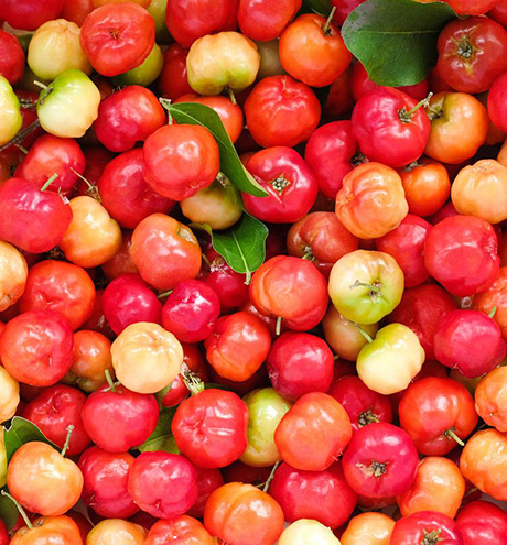 Acerola Cherries pouring everday milk tea into a glass