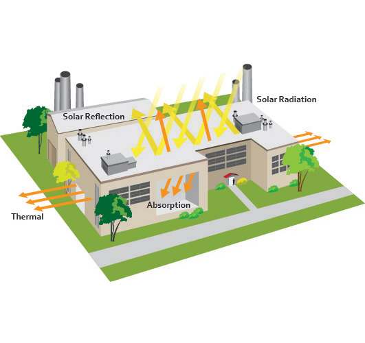 pouring everday milk tea into a glass