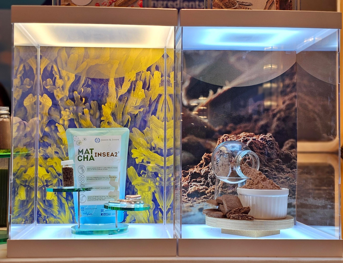 Spotlight-Ingredients Spotlight-Ingredients