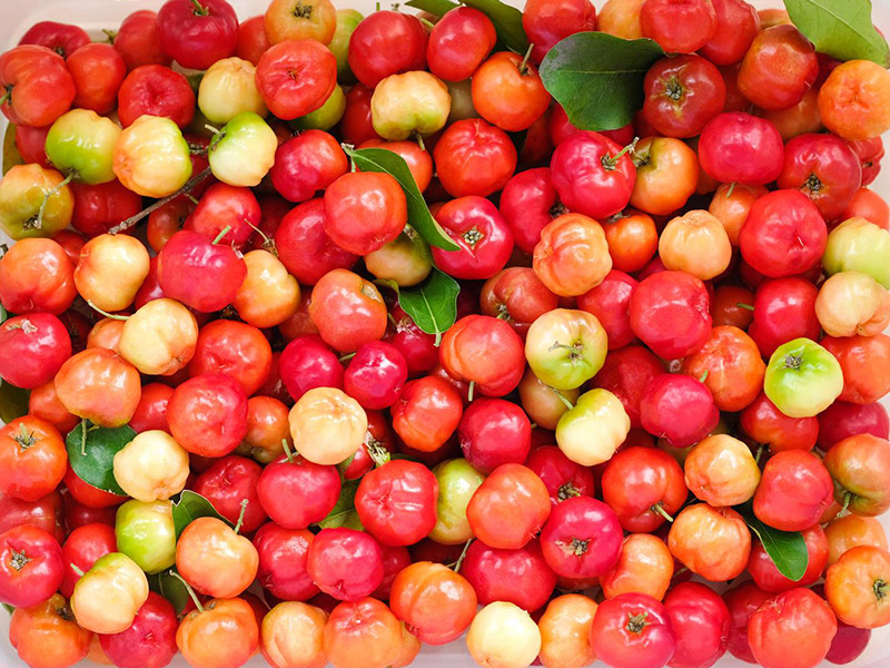 acerola-cherries-2