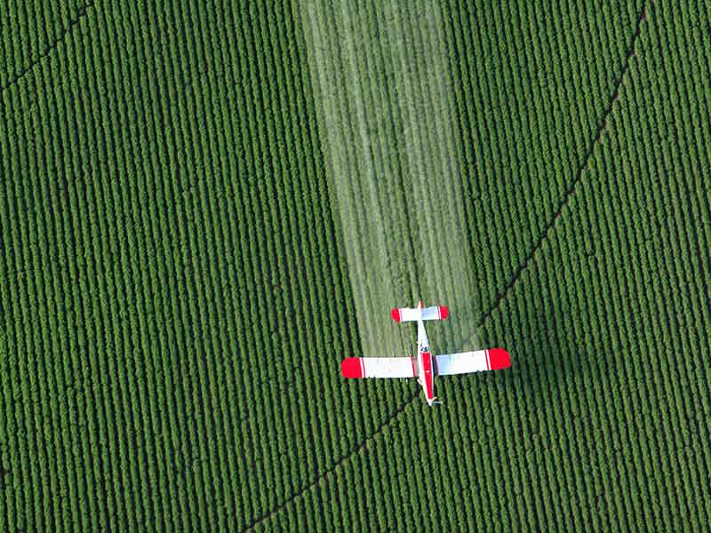 plane flying over green field