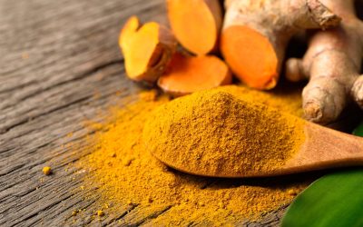 Boosting Immune Health – Part 3: Herb & Fruit Extracts for Wellness