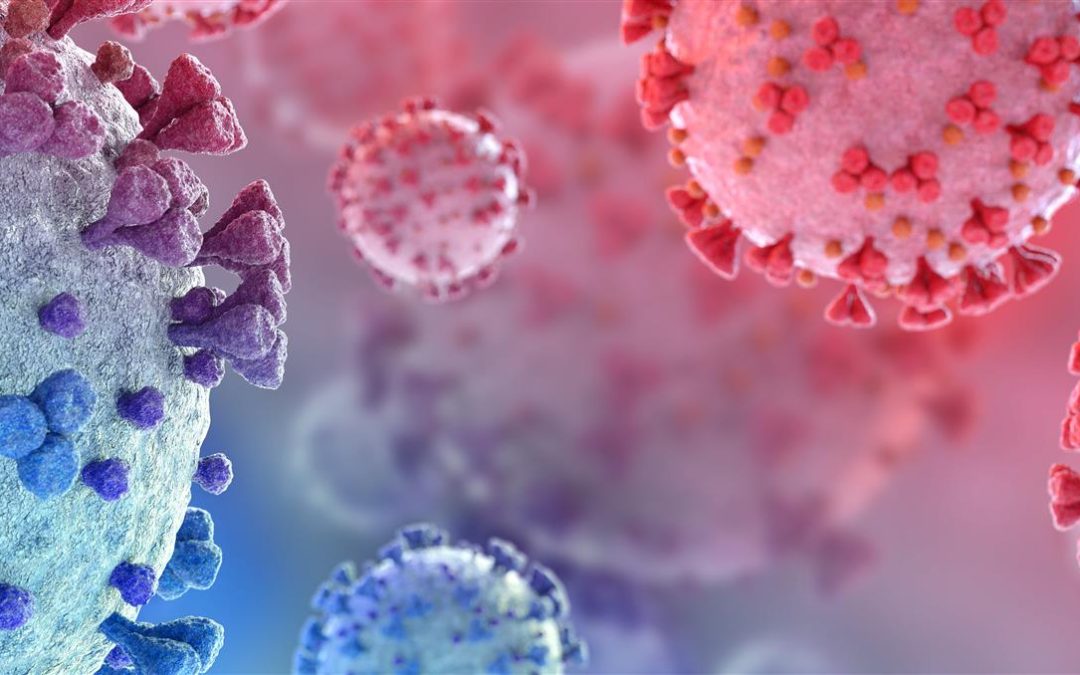 Biomaster™ AT 300 – for water-based coatings