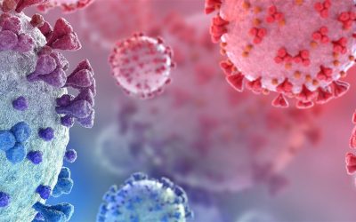 Biomaster™ AT 300 – for water-based coatings