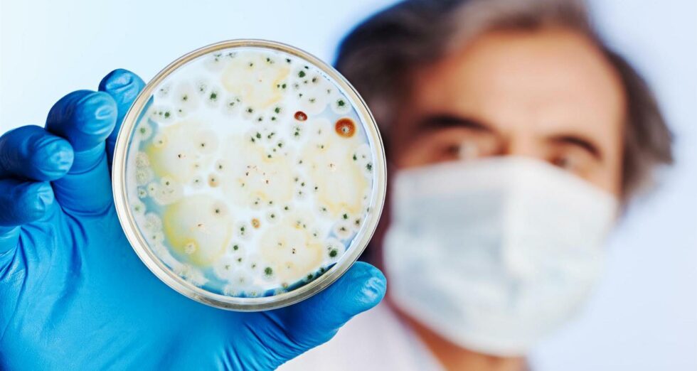 scientific-research-Large-1-980x522