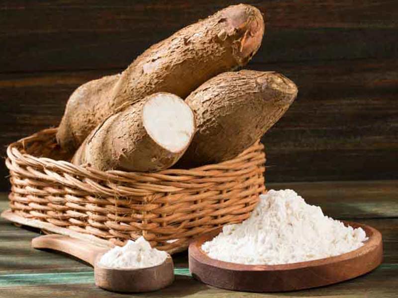 tapioca starch and root on table